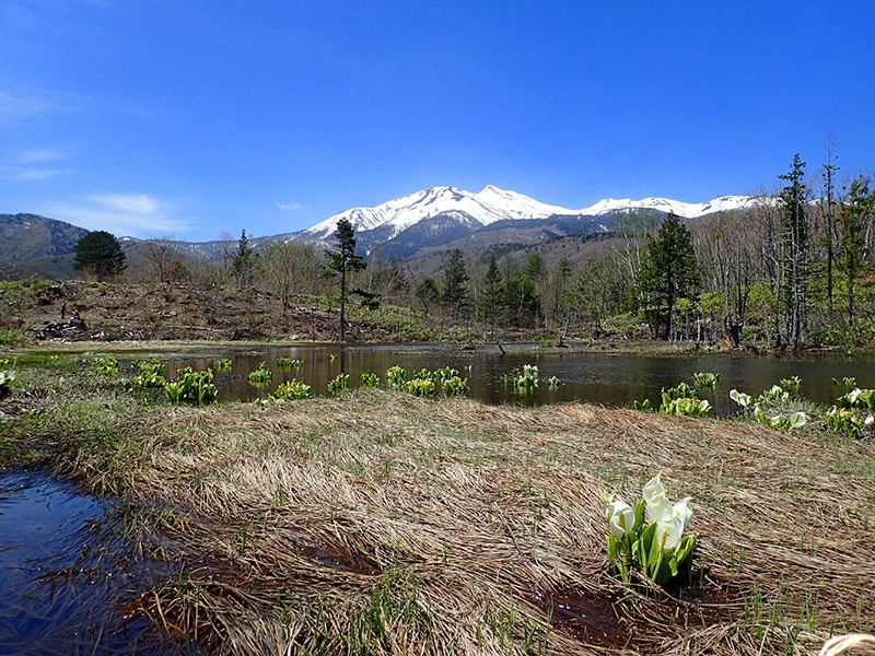 Maime pond and Mt. Norikura
