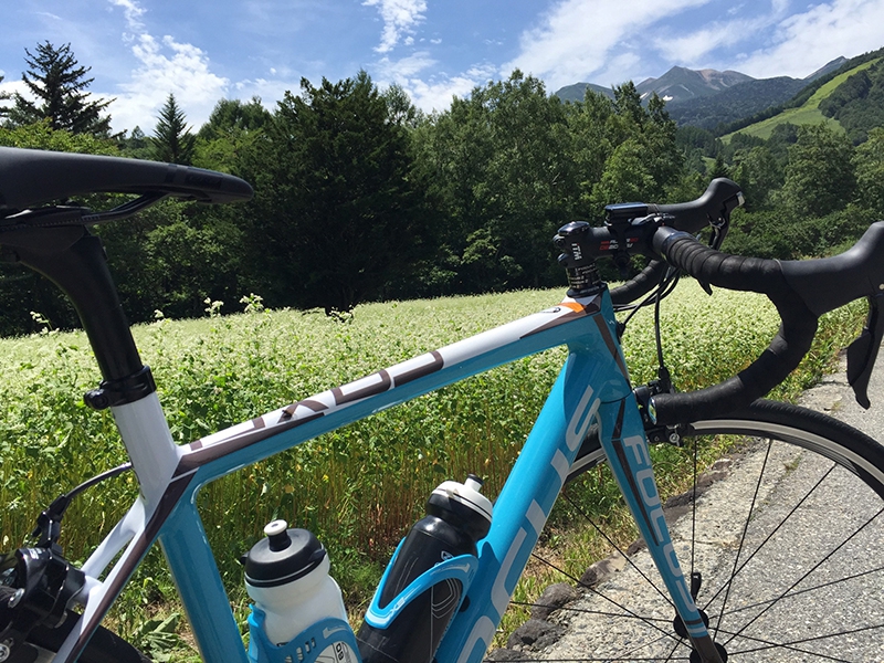 Bicycle and Soba Field